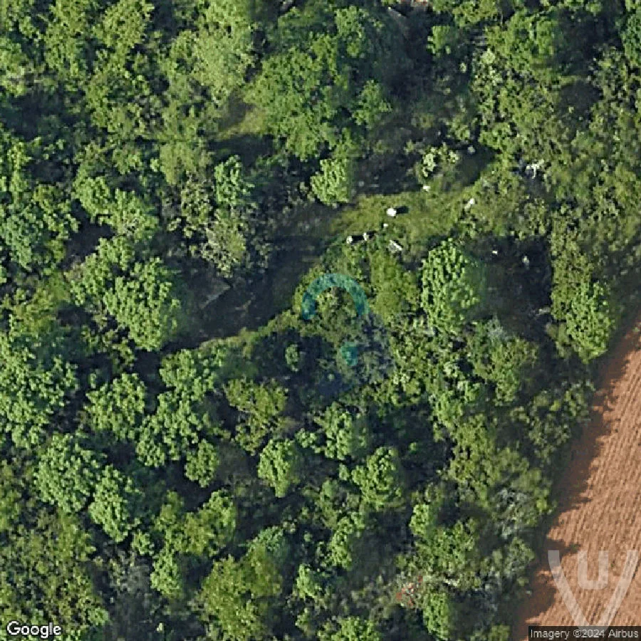 Cimentiere de Tracteurs / Rusty Tractors abandoned location in Bourgogne-Franche-Comte, Bourgogne-Franche-Comte, France - Vehicle for urban exploration