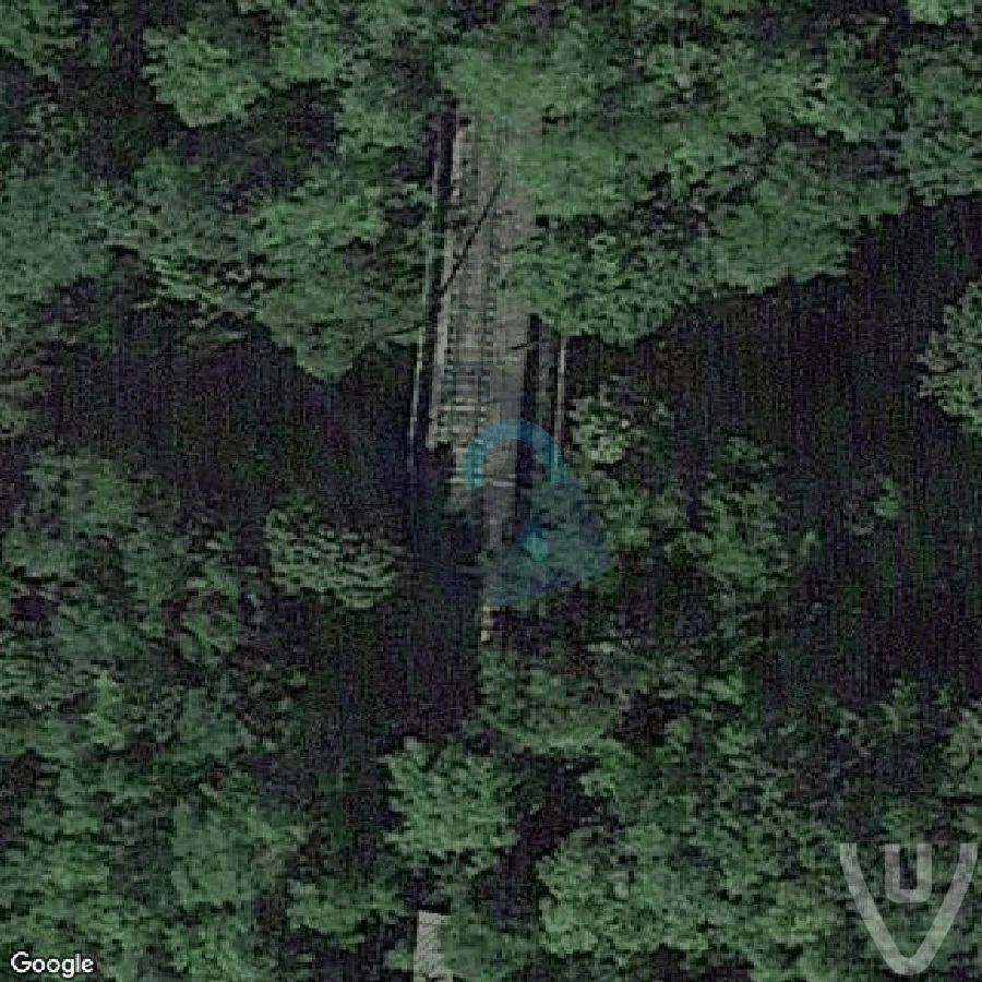 Forest Train abandoned location in Bourgogne-Franche-Comte, Bourgogne-Franche-Comte, France - Outside for urban exploration