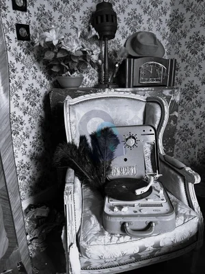 Villa Coco / Manoir Coco urban exploration location in France - Image 6