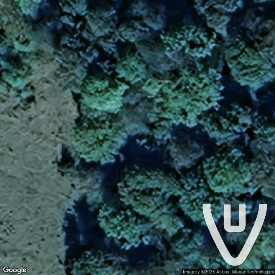 Cimetière des Faons