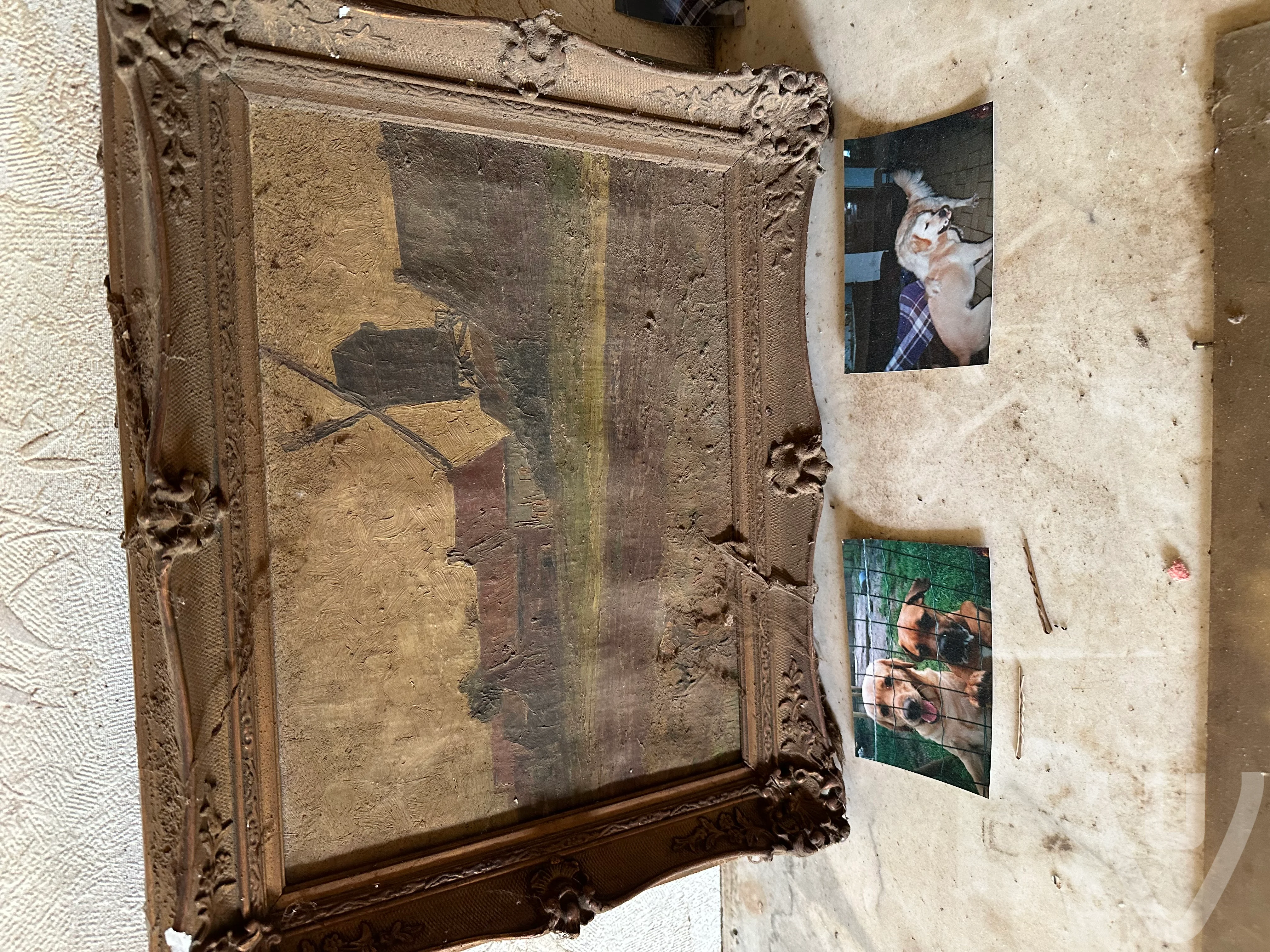 Farm Heidehoeve/The Dog Shelter/ Le Refuge Pour Chiens urban exploration location in Belgium - Image 16