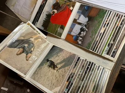 Farm Heidehoeve/The Dog Shelter/ Le Refuge Pour Chiens urban exploration location in Belgium - Image 7