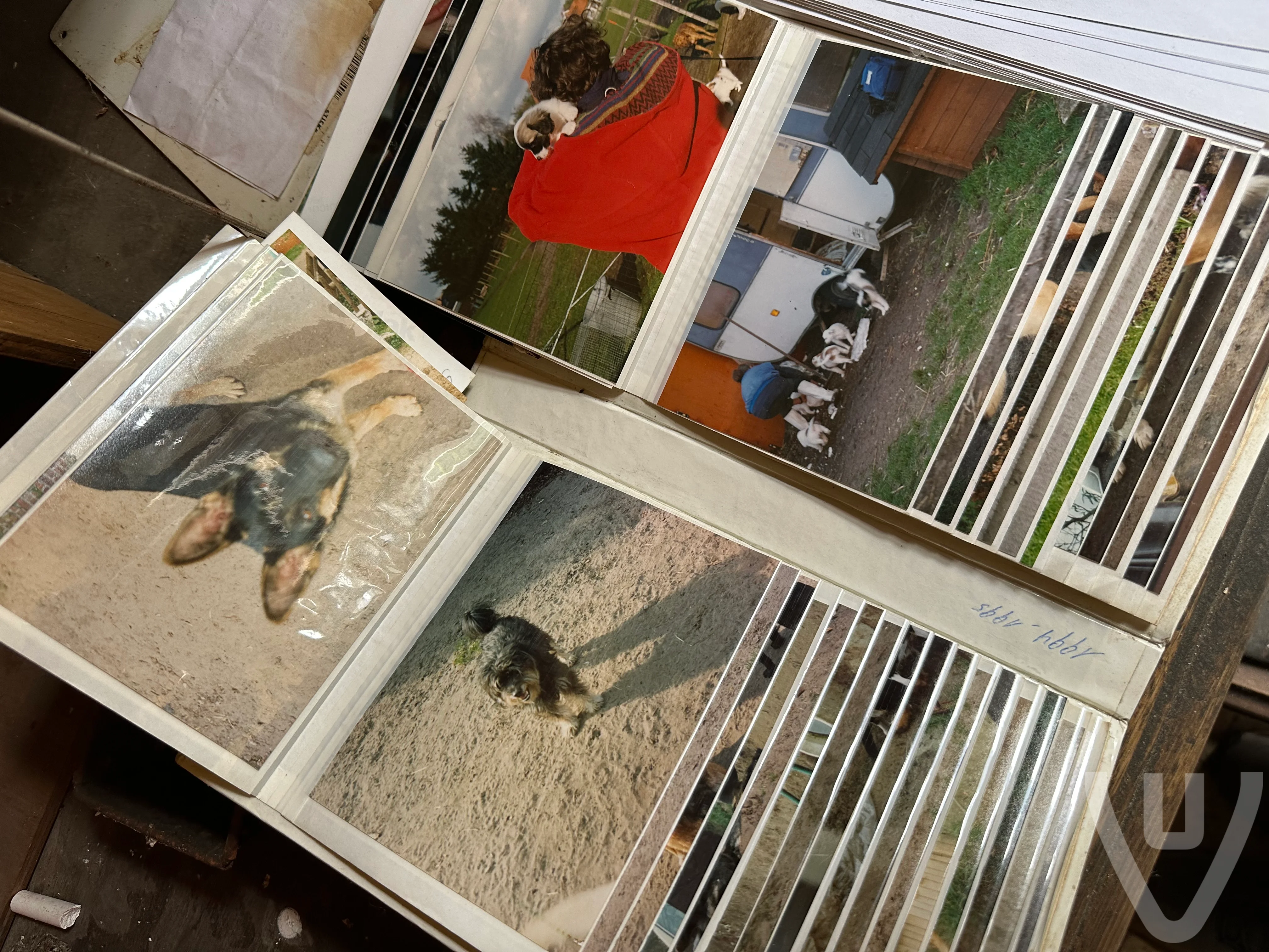 Farm Heidehoeve/The Dog Shelter/ Le Refuge Pour Chiens urban exploration location in Belgium - Image 8