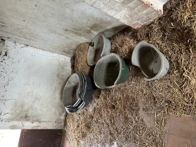 Farm Heidehoeve/The Dog Shelter/ Le Refuge Pour Chiens urban exploration location in Belgium - Image 2