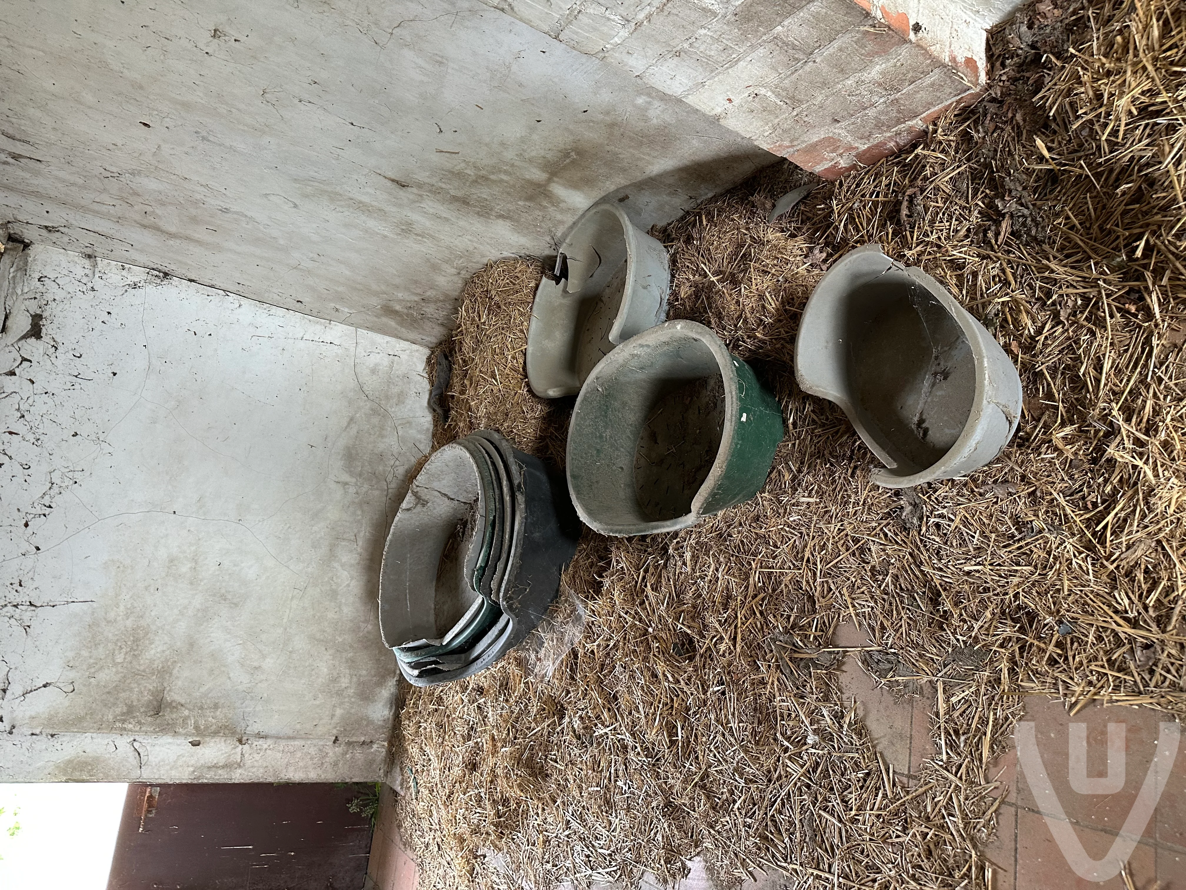 Farm Heidehoeve/The Dog Shelter/ Le Refuge Pour Chiens urban exploration location in Belgium - Image 3