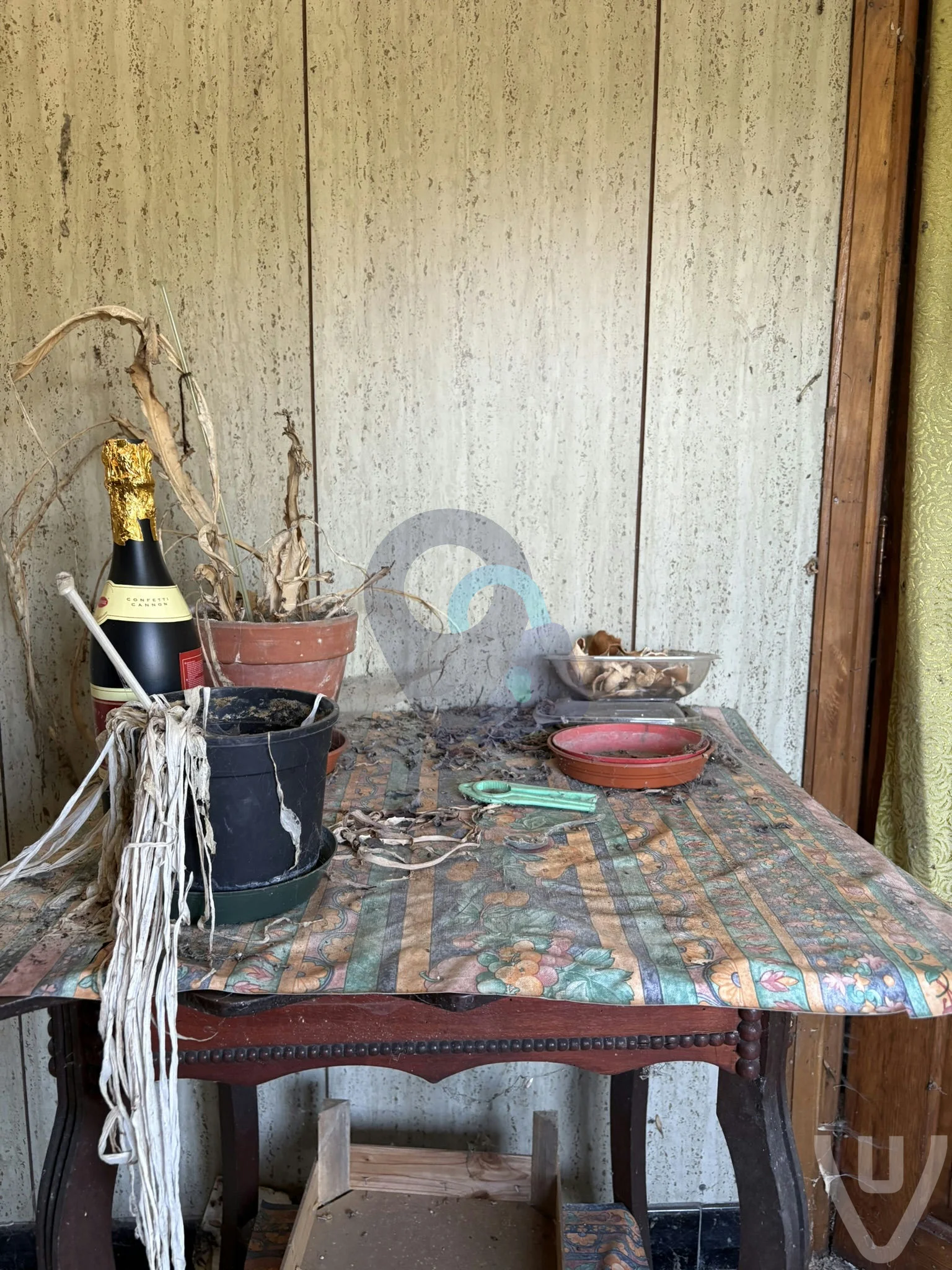 Maison Cactus / Maison Chokotoff urban exploration location in Belgium - Image 3