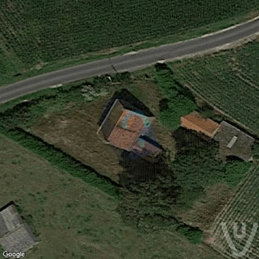 Maison Spiderweb abandoned location in Flanders, Flanders, Belgium - House for urban exploration