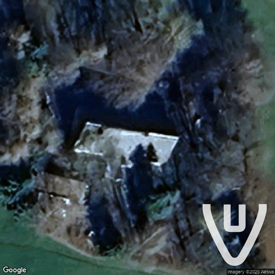 House of the Cat Lover