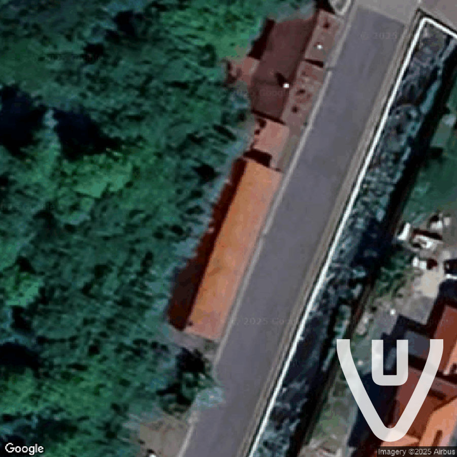 Das Hotel der Plastikblumen