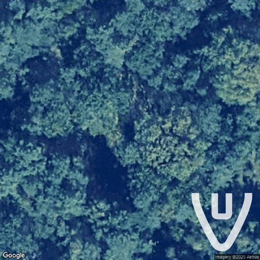 Graffiti Shooting Range