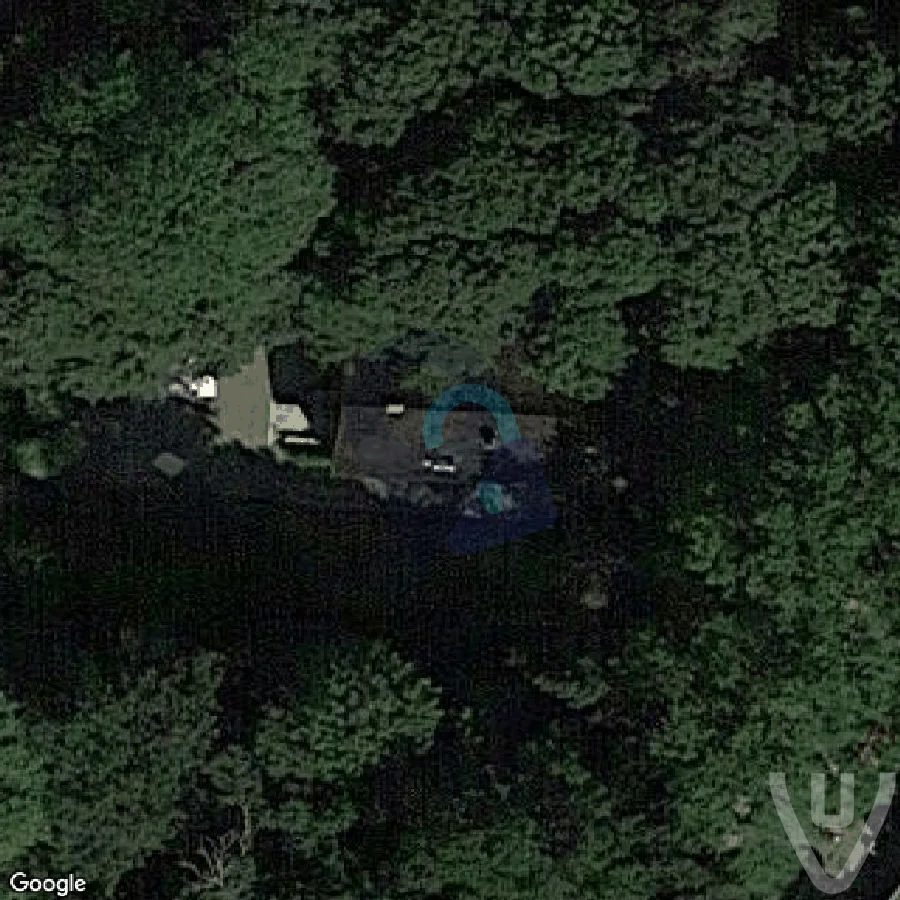 Maison Wallpainting abandoned location in Flanders, Flanders, Belgium - House for urban exploration