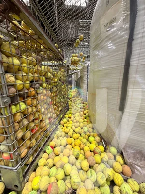 Lost Tennis Balls / Tennis Ball Factory urban exploration location in Belgium - Image 2