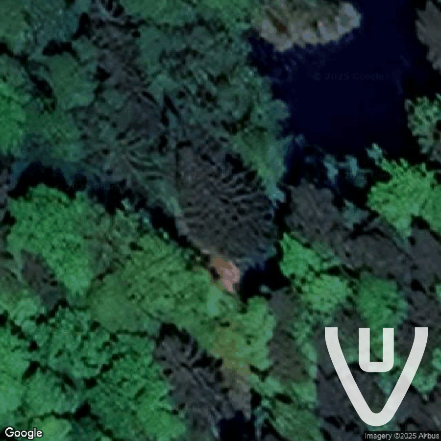 Le Tram jaune / The Yellow Tram