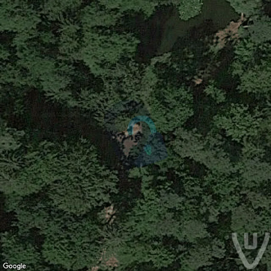 Le Tram jaune / The Yellow Tram abandoned location in Grand Est, Grand Est, France - Train for urban exploration