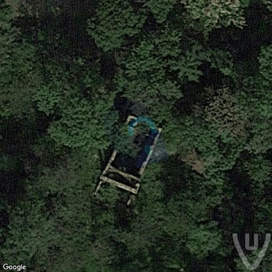 Victory of Nature abandoned location in Greater Poland Voivodeship, Greater Poland Voivodeship, Poland - Tomb for urban exploration