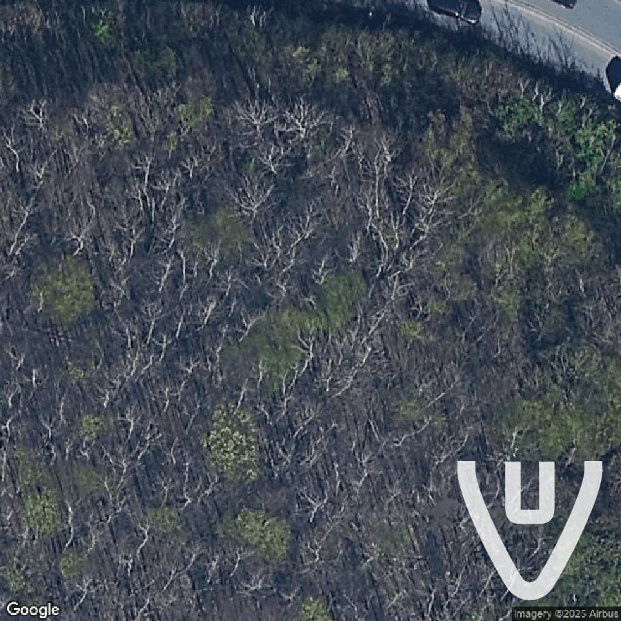 The Puppets Forest abandoned location in Lower-Saxony, Lower-Saxony, Germany - Ghosthunt for urban exploration