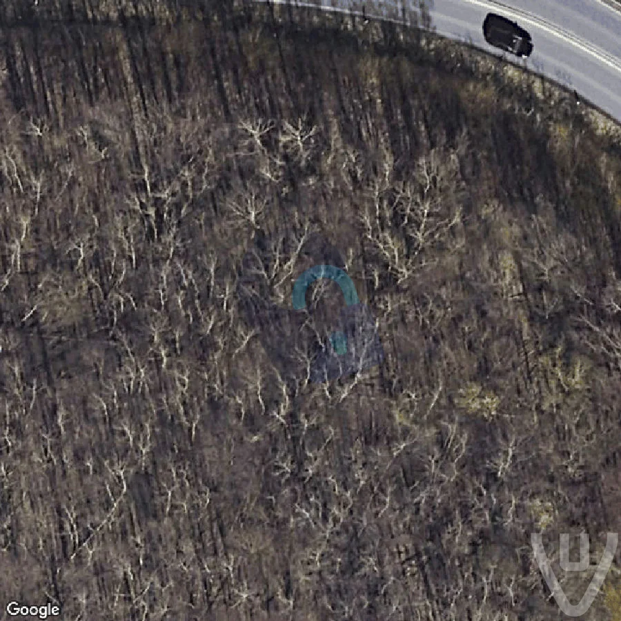 The Puppets Forest abandoned location in Lower-Saxony, Lower-Saxony, Germany - Ghosthunt for urban exploration