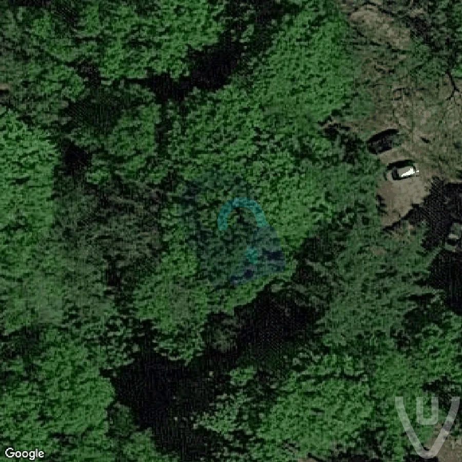 the Deadly Forest N abandoned location in Gelderland, Gelderland, Netherlands - Forest for urban exploration