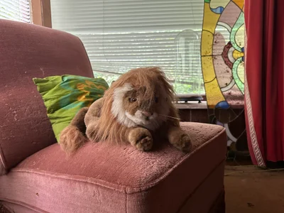 Abandoned Chalet / Small Holiday Chalet urban exploration location in Belgium - Image 2