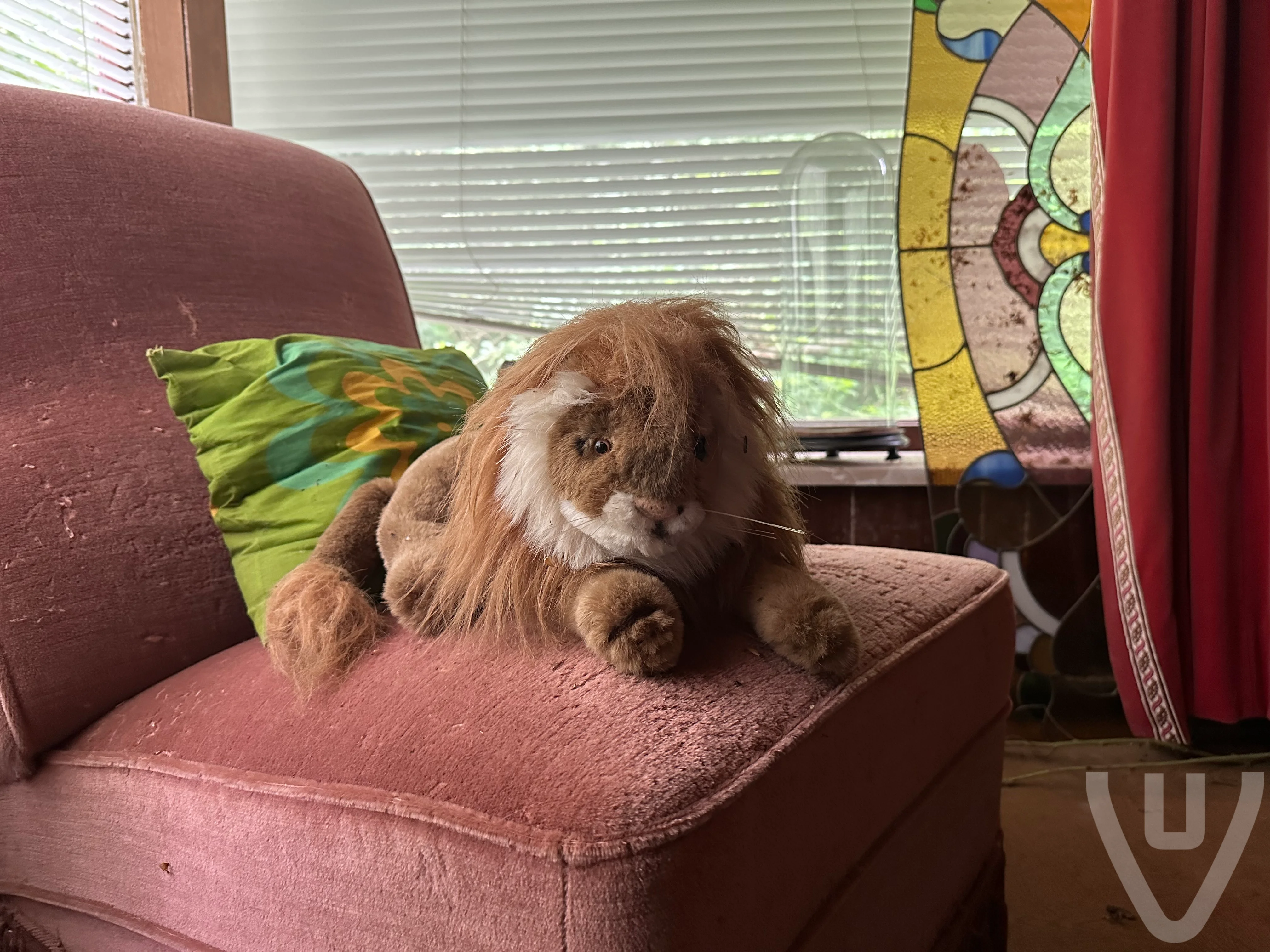 Abandoned Chalet / Small Holiday Chalet urban exploration location in Belgium - Image 3