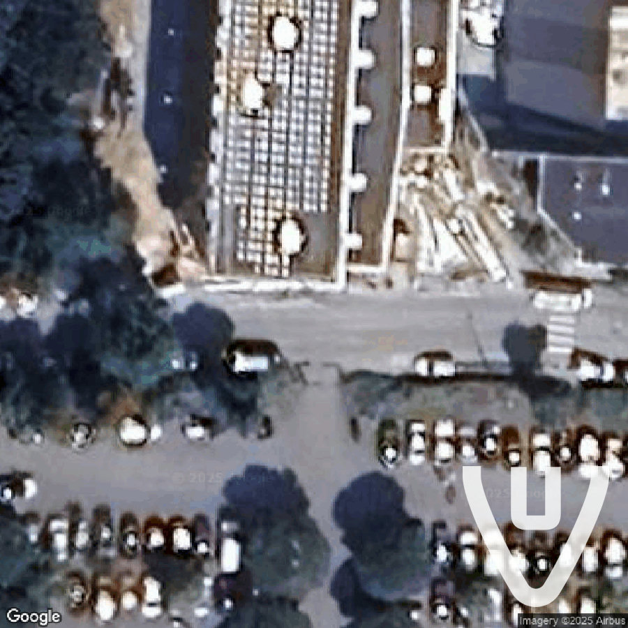 Le Jardin Plein de Papillons