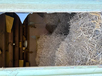 Het Strohuis urban exploration location in Belgium - Image 5