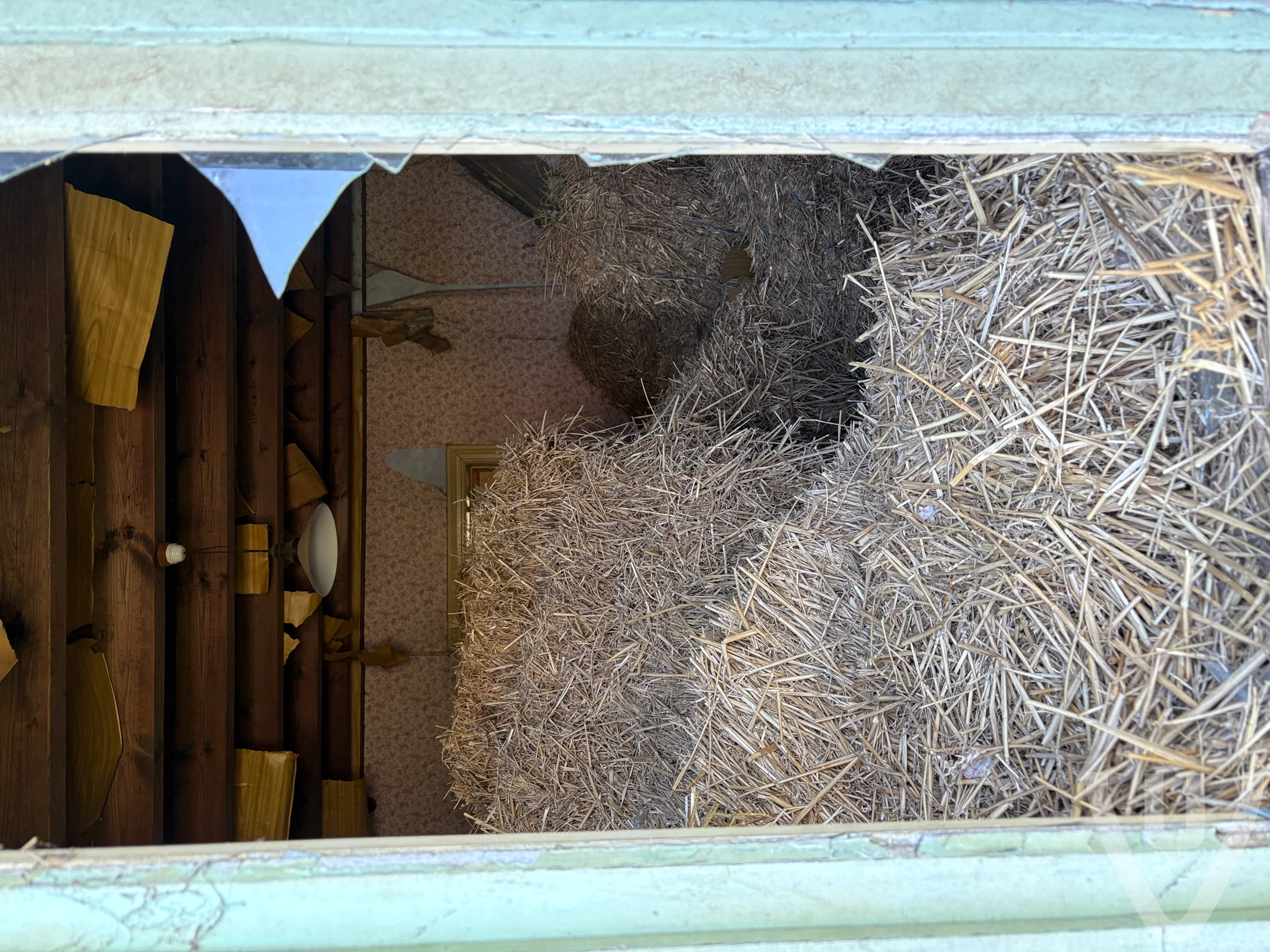 Het Strohuis urban exploration location in Belgium - Image 5