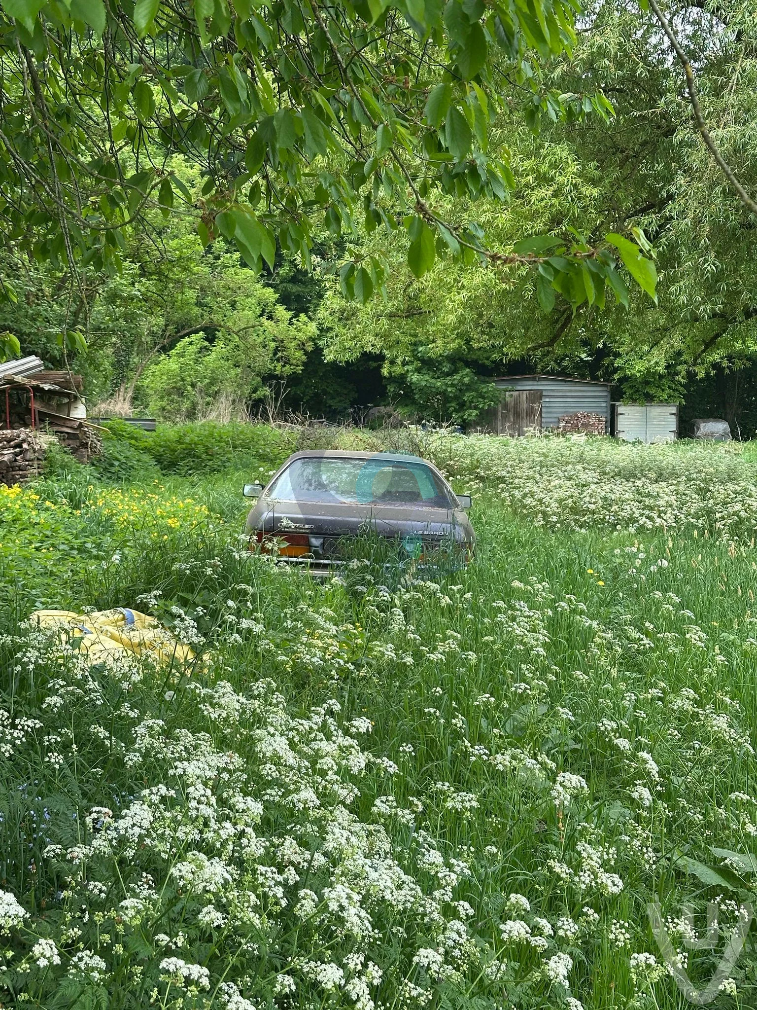 Cafe Vieux urban exploration location in Belgium - Image 7