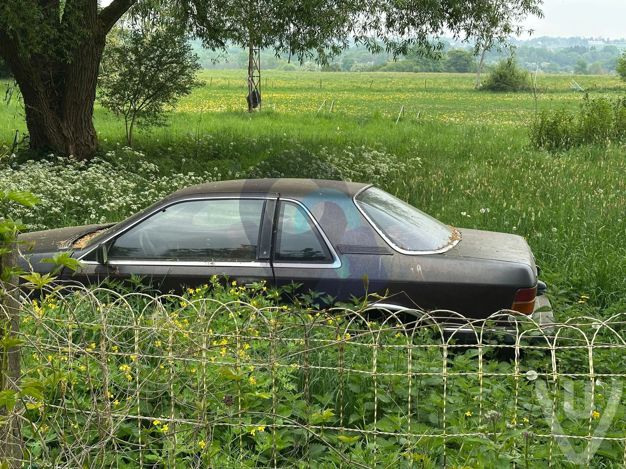 Cafe Vieux urban exploration location in Belgium - Image 6