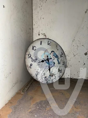 Farm ZuidOost urban exploration location in Netherlands - Image 6