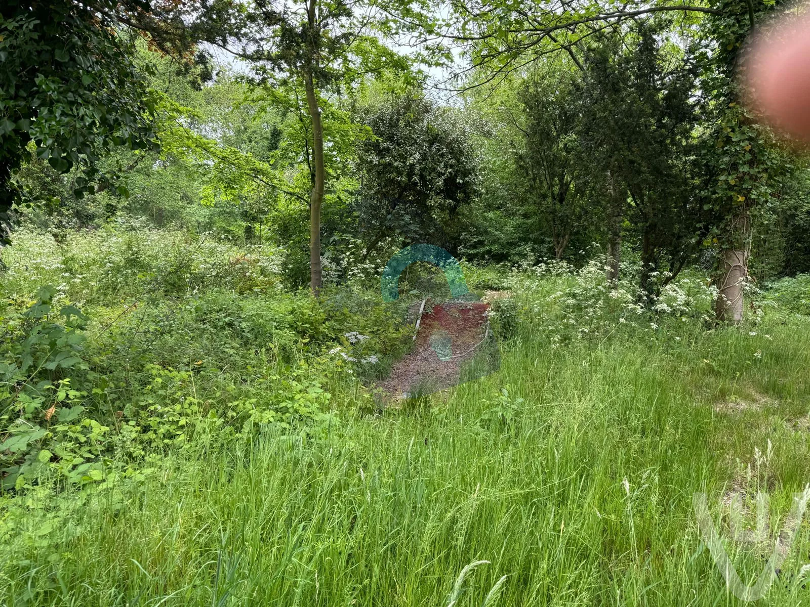 Verlaten Minigolf urban exploration location in Netherlands - Image 6