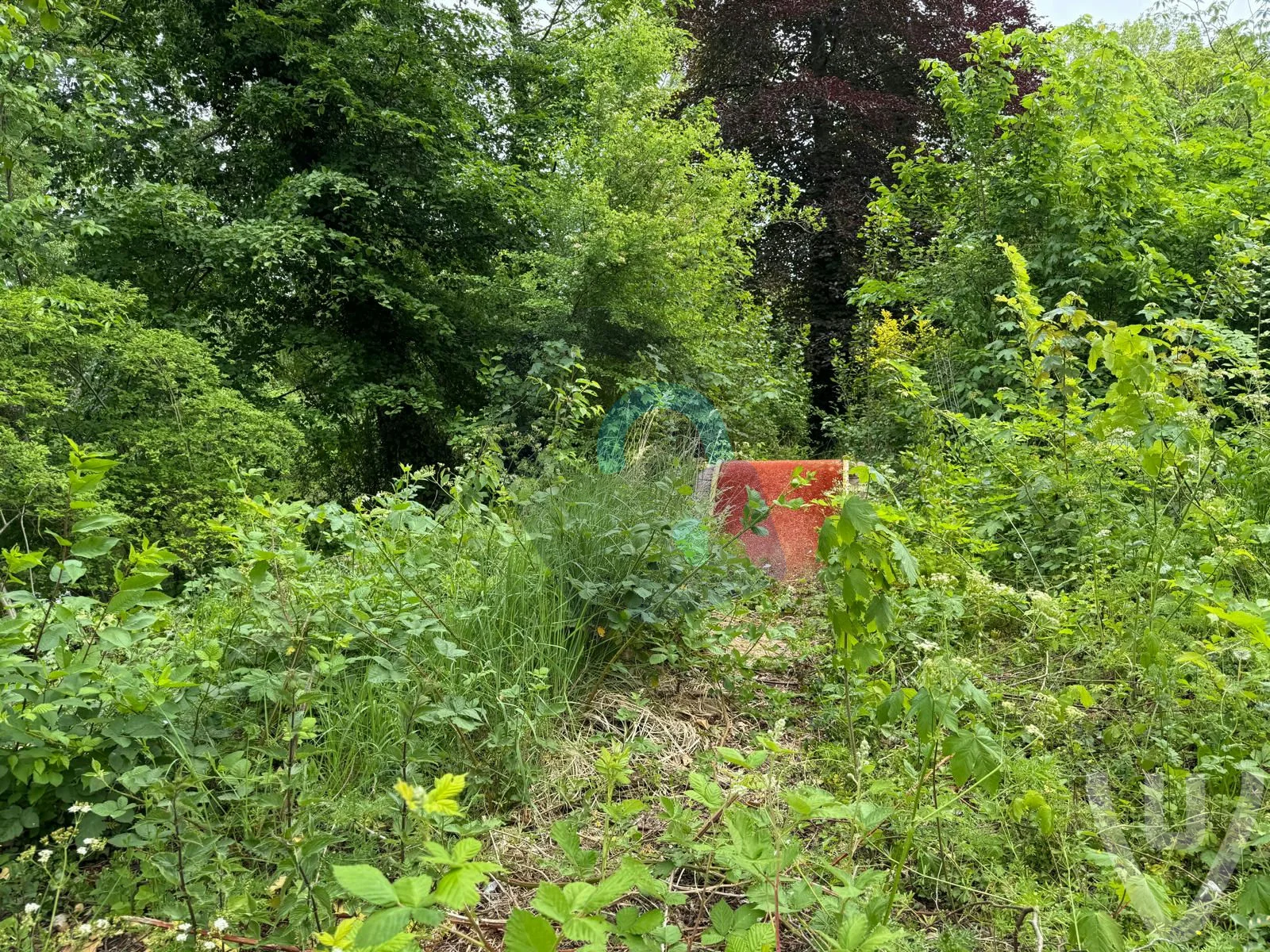 Verlaten Minigolf urban exploration location in Netherlands - Image 3