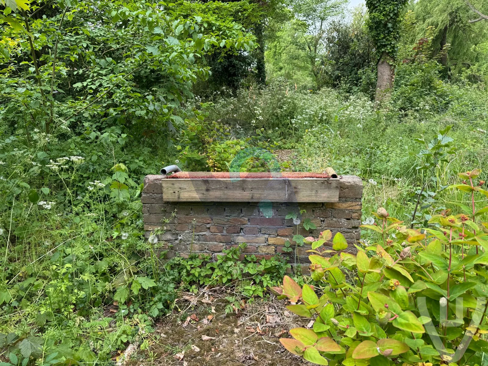 Verlaten Minigolf urban exploration location in Netherlands - Image 2