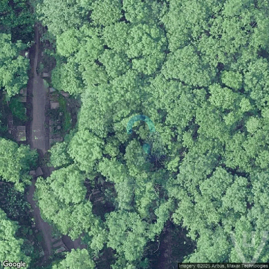 Cemetery HG abandoned location in England, England, United Kingdom - Graveyard for urban exploration