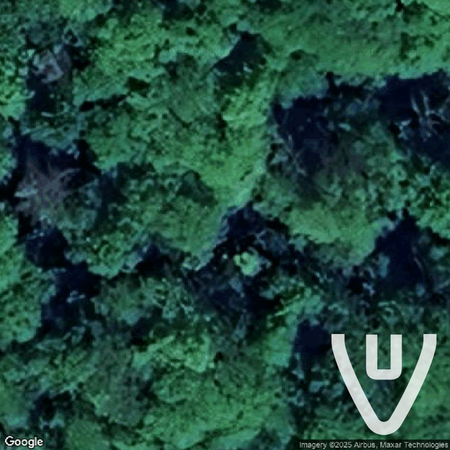 Schwarzenberg Castle abandoned location in North-Rhine-Westphalia, North-Rhine-Westphalia, Germany - Ruine - highly rated urbex spot for urban exploration