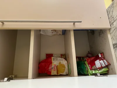 Maison Fita urban exploration location in Belgium - Image 7