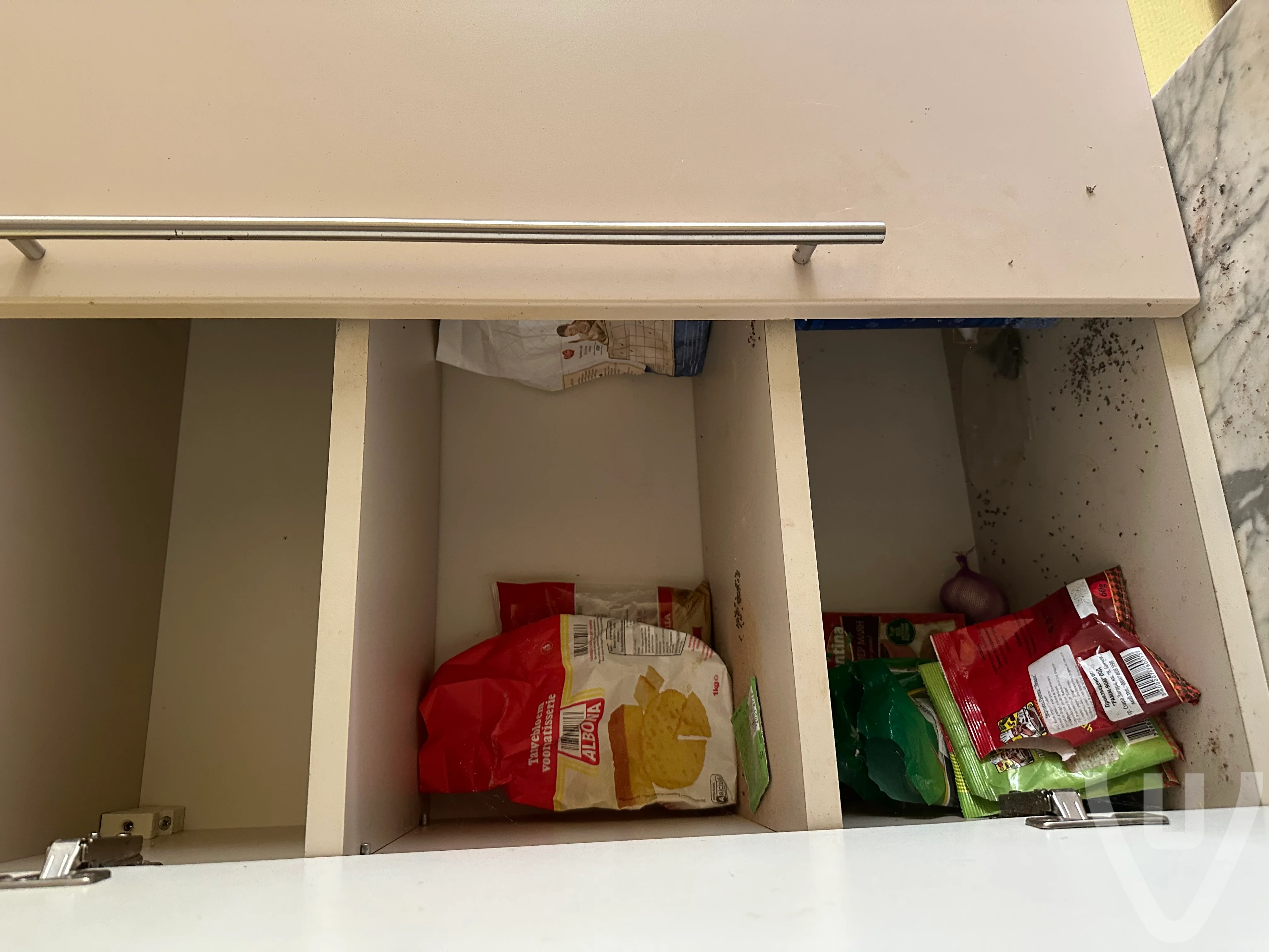 Maison Fita urban exploration location in Belgium - Image 8