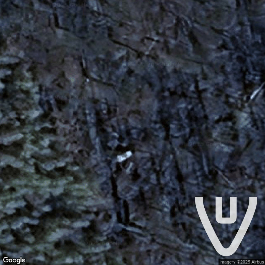 Lost Beetle abandoned location in Wallonia, Wallonia, Belgium - Cars for urban exploration