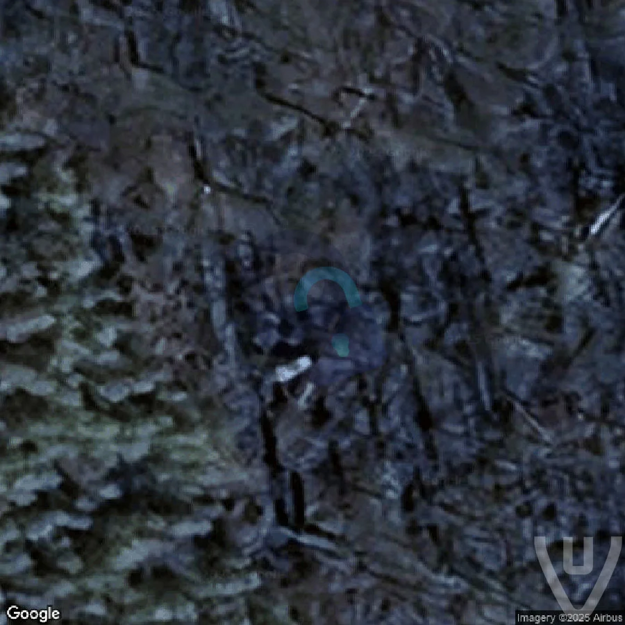 Lost Beetle abandoned location in Wallonia, Wallonia, Belgium - Cars for urban exploration