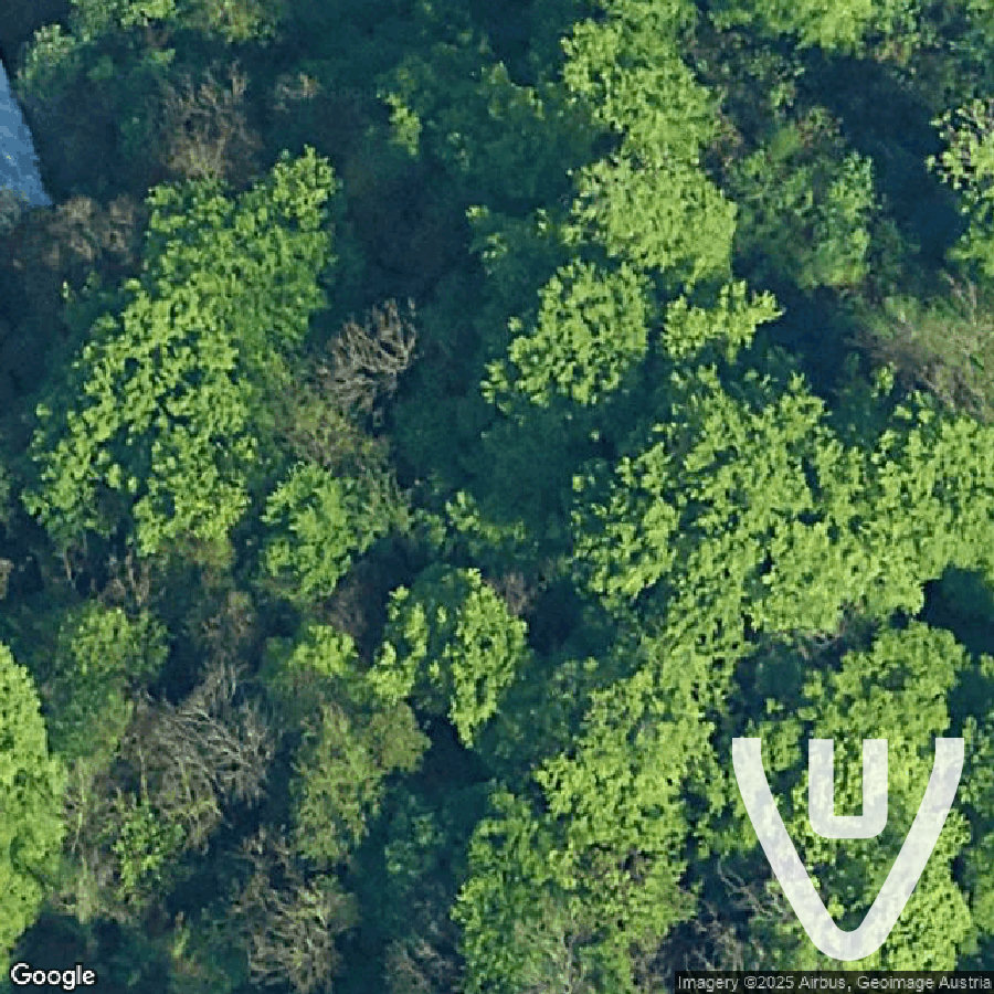 The Monster Bunker abandoned location in Upper Austria, Upper Austria, Austria - Bunker for urban exploration