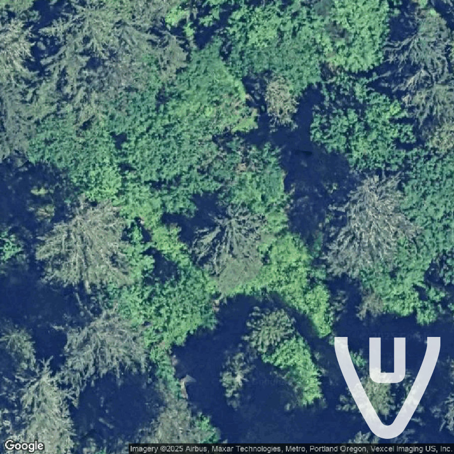 Castle of the Witch abandoned location in Oregon, Oregon, United States - Ruine for urban exploration