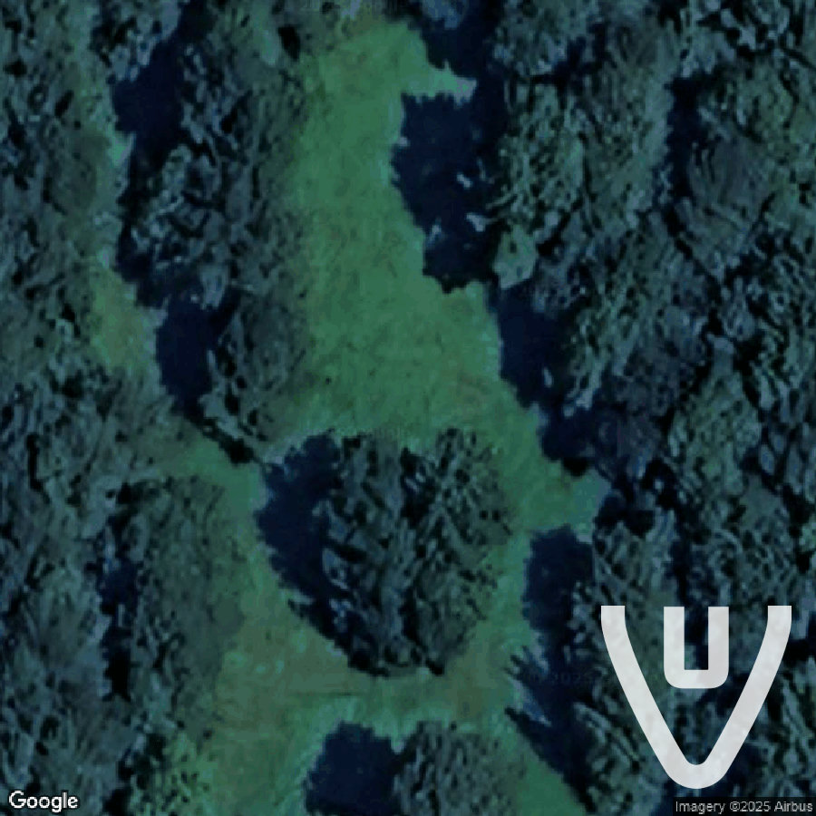 Speedway Cars abandoned location in North Carolina, North Carolina, United States - Cars for urban exploration