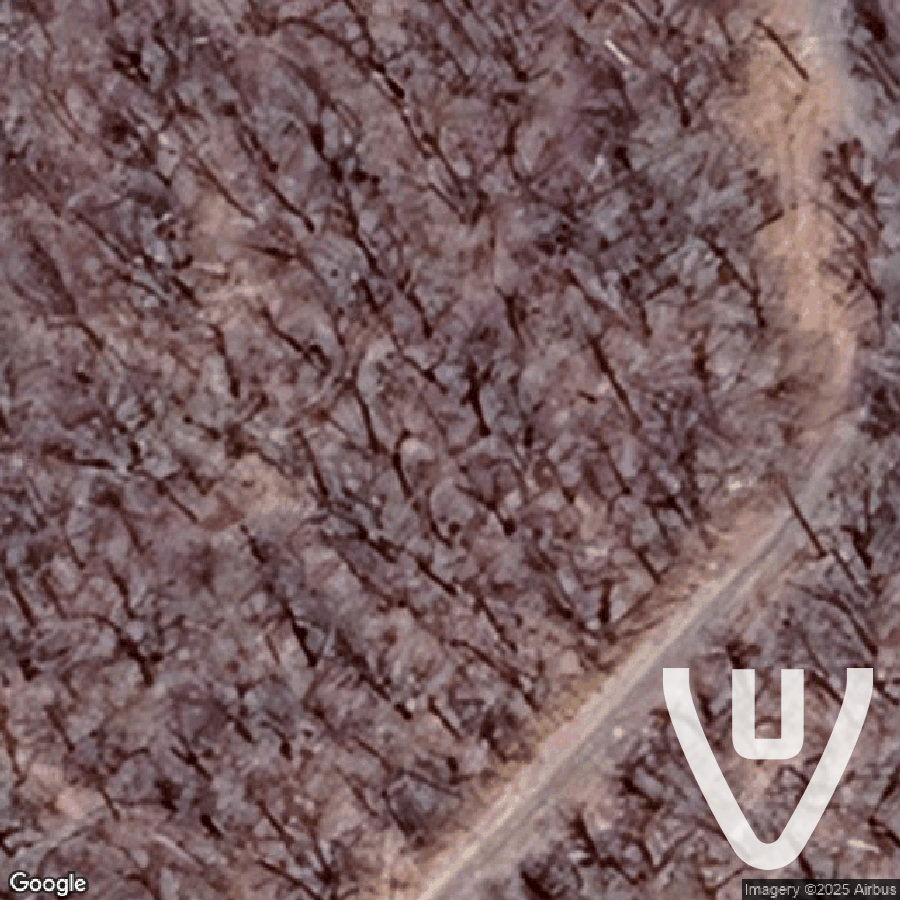 Mountain House abandoned location in New York, New York, United States - Ruine for urban exploration