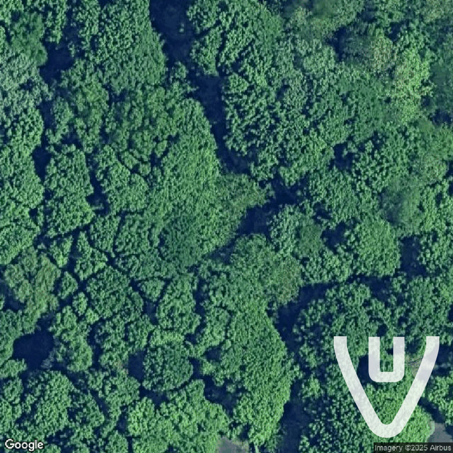 North Brother Island abandoned location in New York, New York, United States - Free for urban exploration