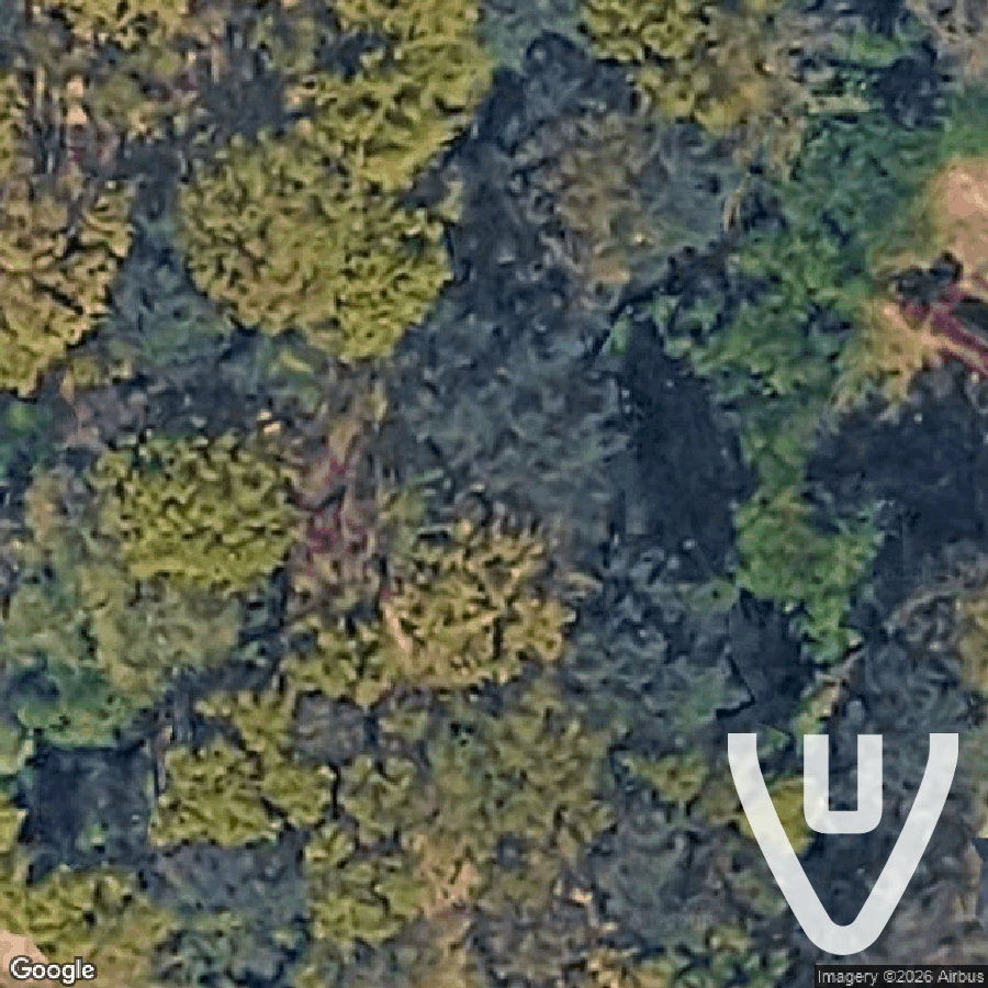 Lost Wood Plane map view