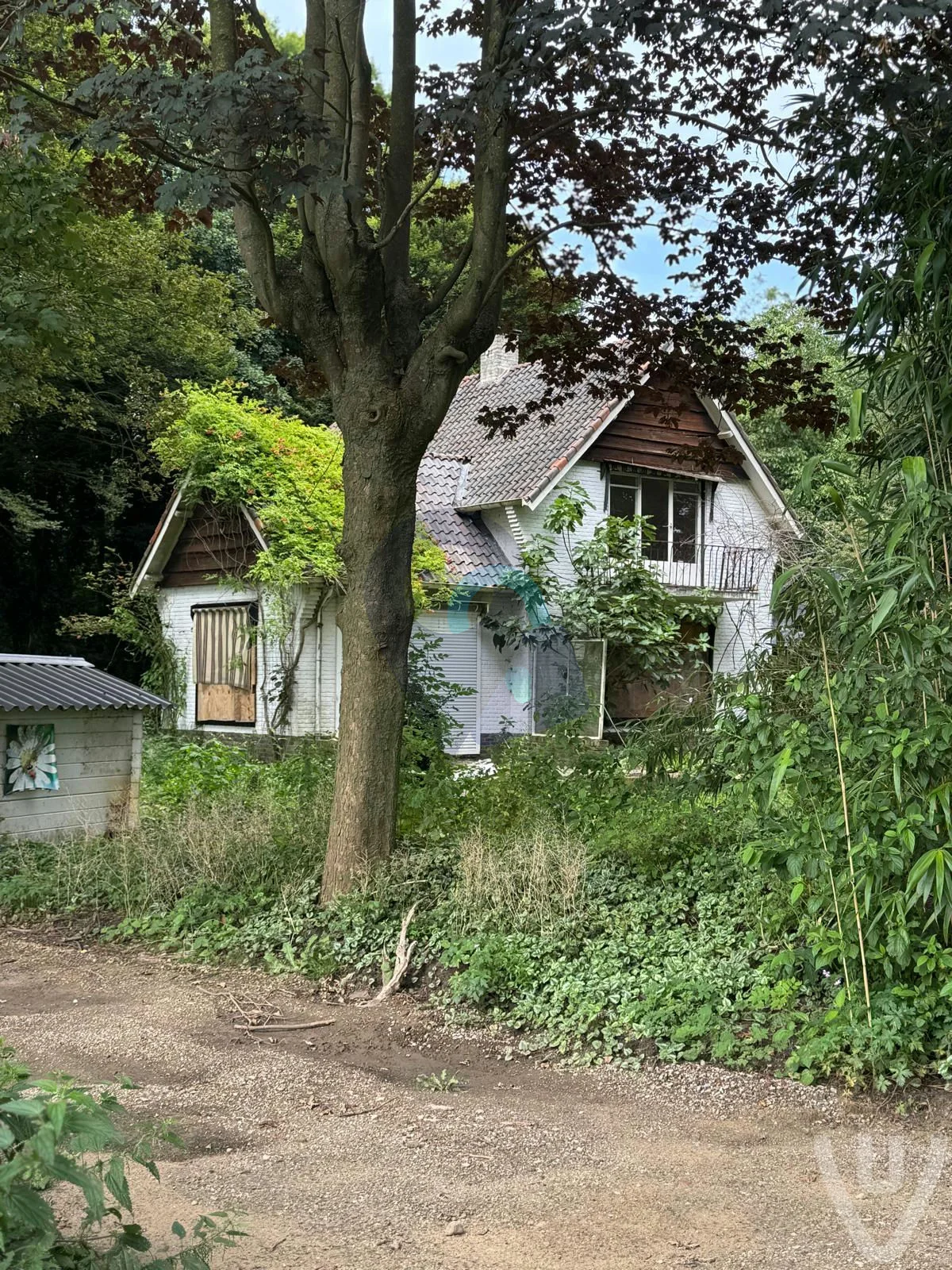 Maison Roses Camp urban exploration location in Netherlands - Image 2