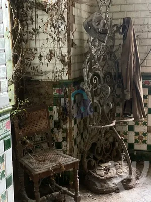 Maison Edgard / Maison Trompette / Maison T urban exploration location in Belgium - Image 5