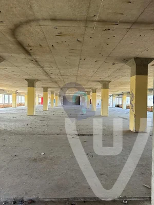 EGG Building urban exploration location in Netherlands - Image 3