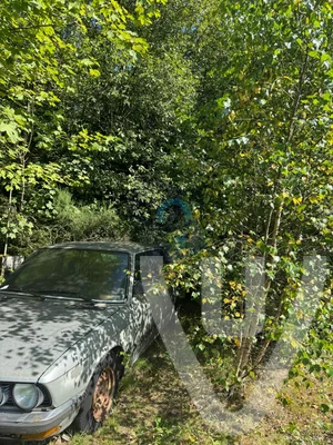 BMW Forest urban exploration location in Belgium - Image 3