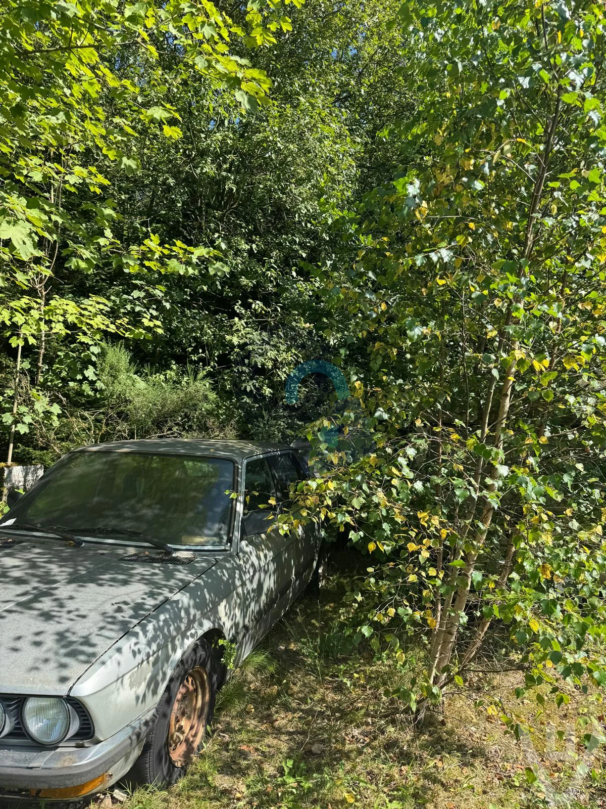 BMW Forest urban exploration location in Belgium - Image 4